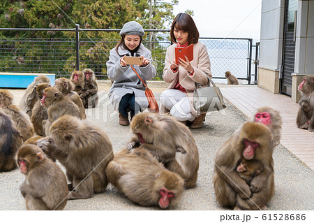 女子旅 冬(撮影協力:高崎山自然動物園) 女子旅 冬(撮影協力:高崎山自然動物園) 61528686