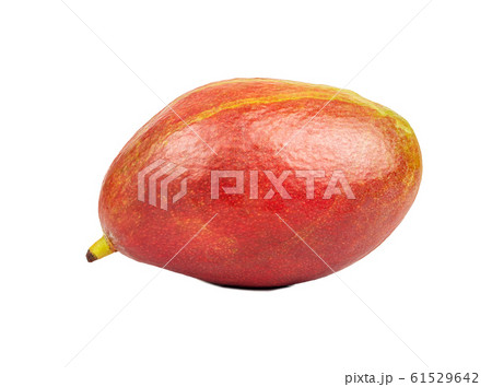Red mango fruit 61529642
