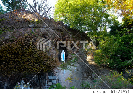 東京カテドラル聖マリア大聖堂 カトリック関口教会　文京区 61529951