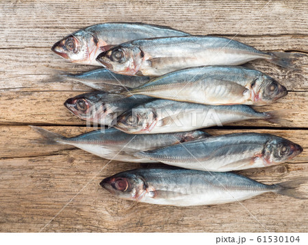 Carangidae fishes on the gray wooden board 61530104