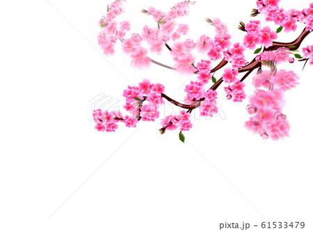 Sakura. Cherry branches with purple flowers flutter in the wind. Focused and not. illustration Sakura. Cherry branches with purple flowers flutter in the wind. Focused and not. illustration 61533479