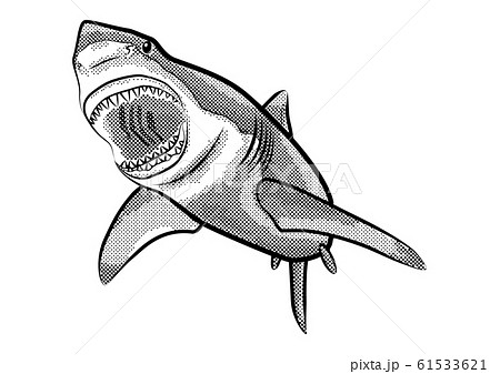 サメ イラスト 白黒 のイラスト素材 61533621 Pixta