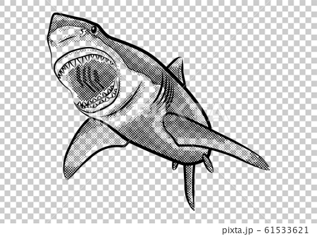 サメ イラスト 白黒 のイラスト素材