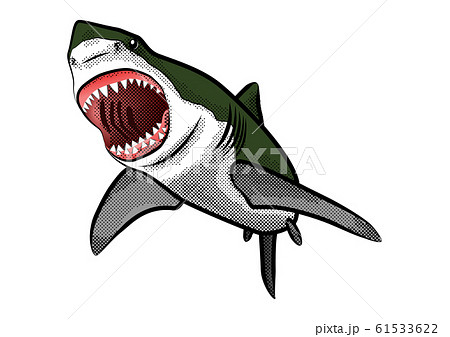 Shark Illustration Color 2 Stock Illustration