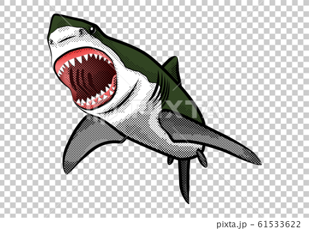 サメ イラスト カラー2 のイラスト素材