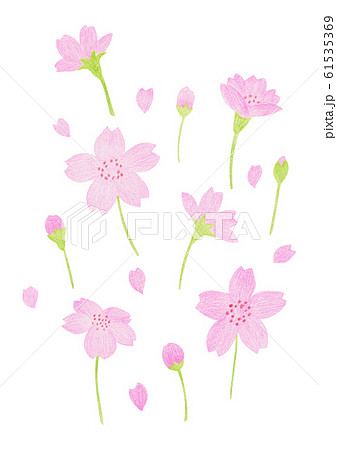 春 花 ピンクの花のイラスト素材