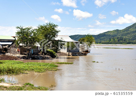 カンボジア水稲地帯光景 カンボジア水稲地帯光景 61535559