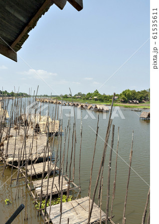 カンボジア水田地帯の水上家屋 カンボジア水田地帯の水上家屋 61535611