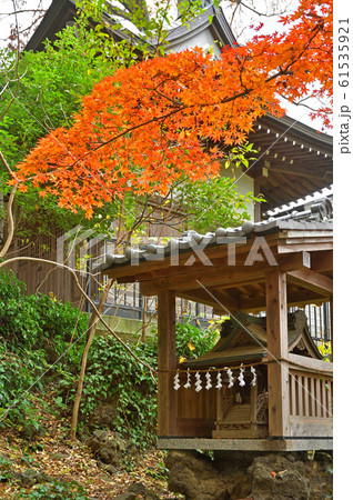 川越散歩：富士見稲荷大神  川越城富士見櫓跡 61535921