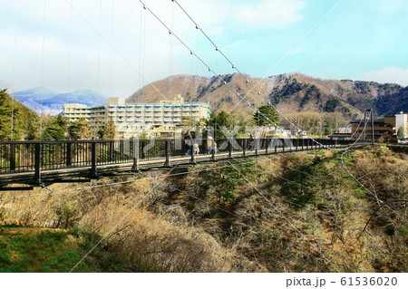 鬼怒川に架かる吊り橋・鬼怒楯岩大吊橋 鬼怒川に架かる吊り橋・鬼怒楯岩大吊橋 61536020
