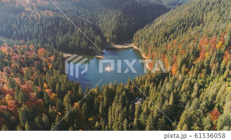 wonderful mountain lake surrounded by dense forests wonderful mountain lake surrounded by dense forests 61536058