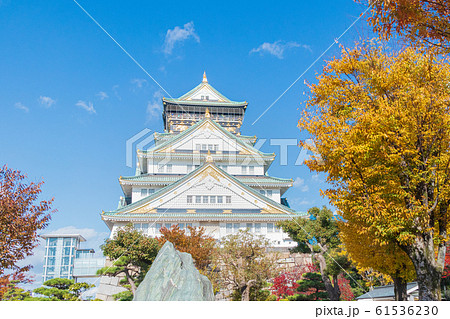 秋晴れに映える紅葉の大阪城天守閣 61536230