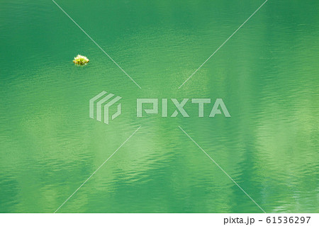 初夏のダム湖、音水湖-4 61536297