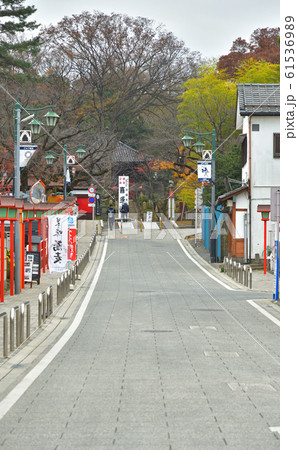 川越散歩：星野山無量寿寺喜多院参道　天台宗 61536989