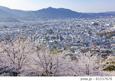 満開の桜と富士吉田市の街並み、山梨県新倉山浅間公園にて 61537676