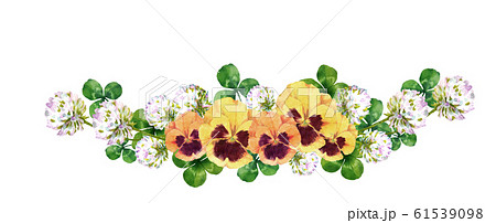 パンジーとシロツメクサの花のイラスト素材