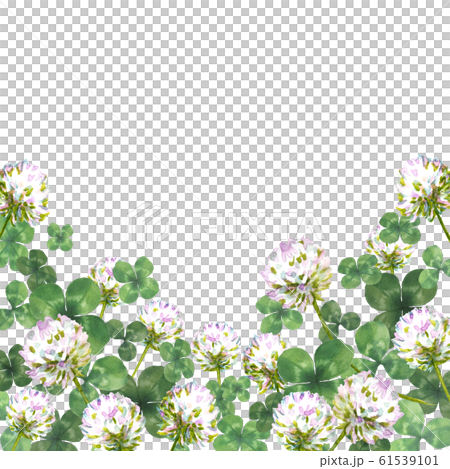 クローバーの葉とお花の水彩画 クローバーの葉とお花の水彩画 61539101