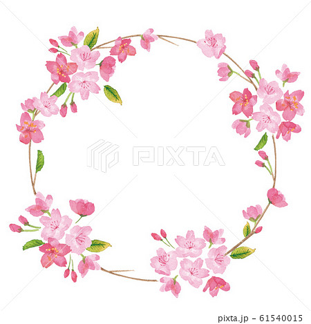 桜 水彩リース イラストのイラスト素材
