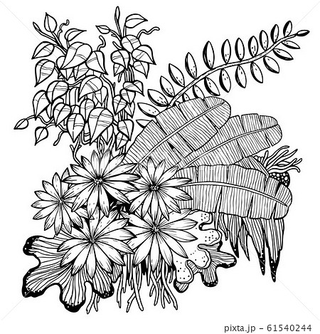 Hand drawn Leaves 61540244