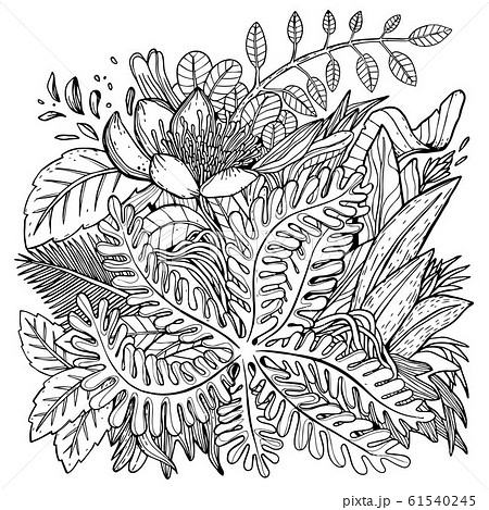 Hand drawn Leaves 61540245