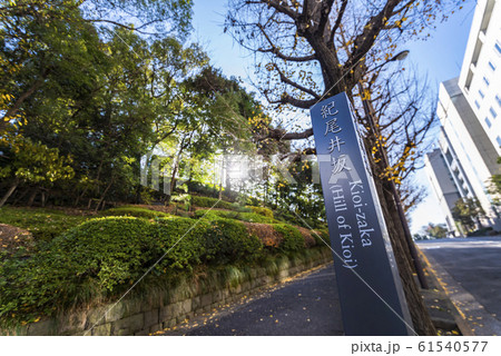 千代田区 紀尾井坂の風景 61540577