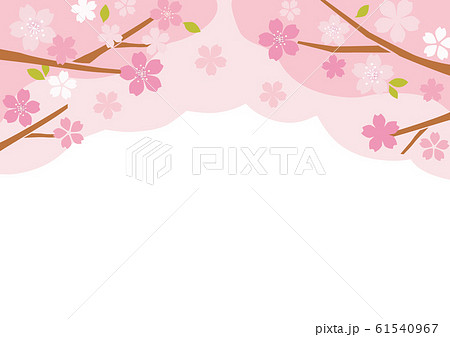 桜の木 61540967