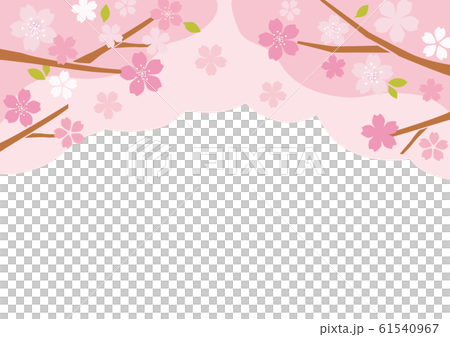 桜の木 61540967