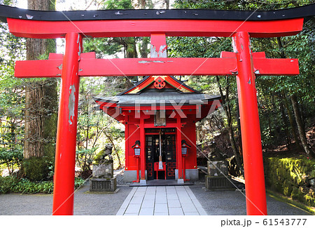 Torii gate and pavilion in Hakone Shrine, Hakone, Torii gate and pavilion in Hakone Shrine, Hakone, 61543777