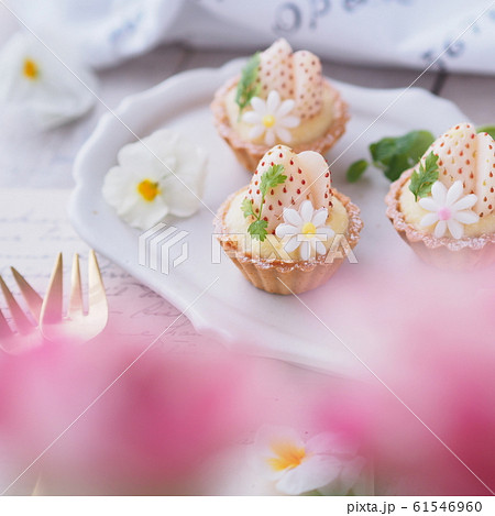春スイーツ 白いイチゴのプチタルトケーキ 春スイーツ 白いイチゴのプチタルトケーキ 61546960