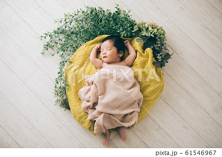 ニューボーンフォト 61546967