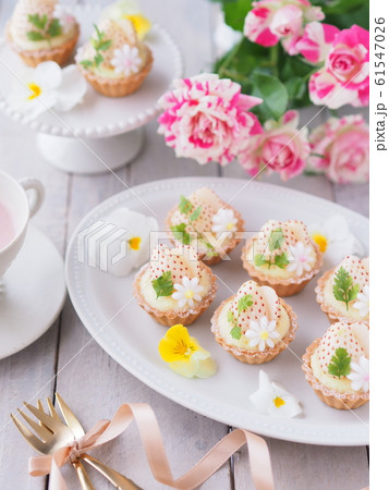 白いイチゴのプチタルトケーキでティータイム 白いイチゴのプチタルトケーキでティータイム 61547026
