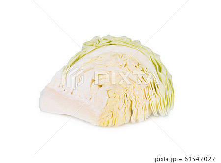 sliced cabbage isolated on white background 61547027