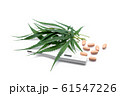 marijuana or cannabis leaf with drug and 61547226