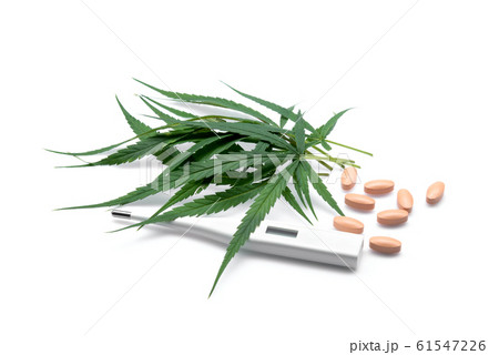 marijuana or cannabis leaf with drug and marijuana or cannabis leaf with drug and 61547226