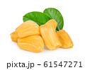 jackfruit with leaf isolated on white background, 61547271