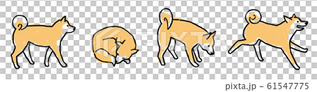 手描き風線画 柴犬のイラスト素材