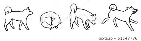 手描き風線画 モノクロ 柴犬のイラスト素材
