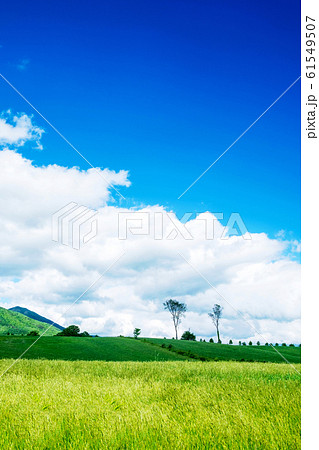 蒜山高原 夏 青空 蒜山高原 夏 青空 61549507
