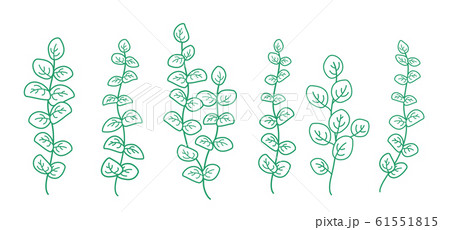 art set of green eucalyptus branches with leaves art set of green eucalyptus branches with leaves 61551815