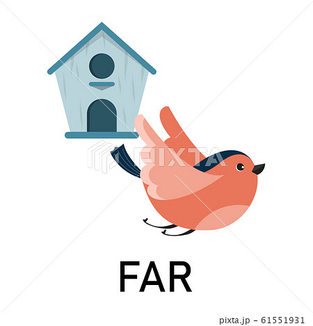Bird and birdhouse, learning preposition vector Bird and birdhouse, learning preposition vector 61551931