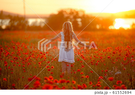 A woman with long hair in the sunset in a red field with poppies 61552694