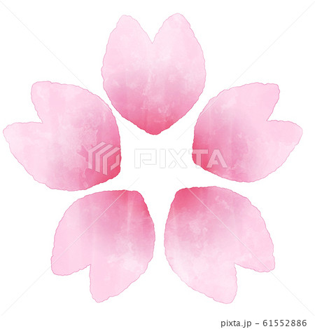 桜の花　水彩風イラスト素材 61552886