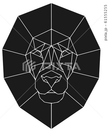 The black geometric head of lion. Polygonal abstract animal of Africa 61555255