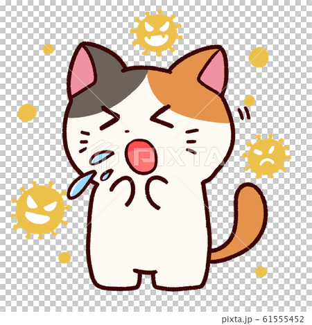 Calico cat sneezing with hay fever Calico cat sneezing with hay fever 61555452