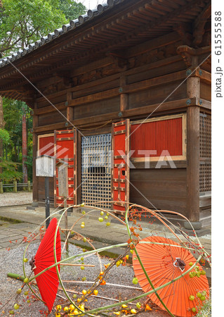 川越散歩: 慈眼堂 星野山無量寿寺喜多院 川越散歩: 慈眼堂 星野山無量寿寺喜多院 61555588