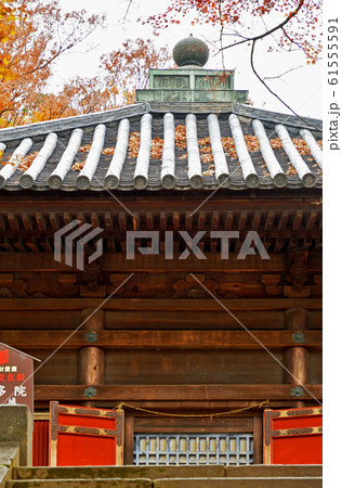 川越散歩： 慈眼堂　星野山無量寿寺喜多院 61555591