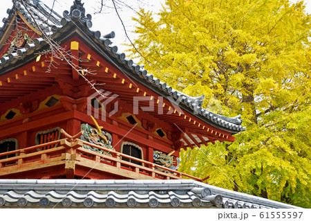 川越散歩：鐘楼門 　星野山無量寿寺喜多院 61555597