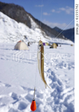 ワカサギ釣り ワカサギ釣り 61555762