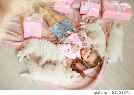 Little girl with white puppies and gift boxes 61555970
