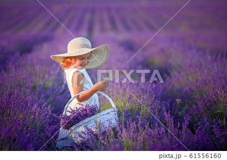 Curly girl standing on a lavender field in white dress and hat with cute face and nice hair with lavender bouquet and smiling. Curly girl standing on a lavender field in white dress and hat with cute face and nice hair with lavender bouquet and smiling. 61556160